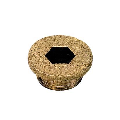 PLUG M/HOLLE ZESKANT KRAAG BUITENDR. CYL - C: M22x1,5 | 0202 82 00