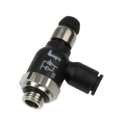 SNELH  REGEL COMPACT BSP CIL  INLAAT - DIAM D : 6MM - C : G1/8 | 7061 06 10