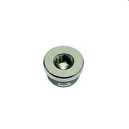 PLUG, BSP CIL &METR - MES VERN - C: G3/8 | 0919 00 17