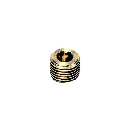 PLUG M/HOLLE ZESKANT BUITENDR. NPT - C: NPT1/2 | 0205 22 00