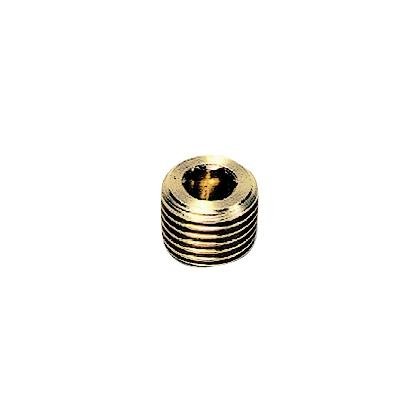 PLUG M/HOLLE ZESKANT BUITENDR. NPT - C: NPT1/8 | 0205 11 00