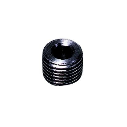 PLUG IN STAAL MET BINNEN ZESKANT NPT - C: NPT1/8 | 0206 11 00