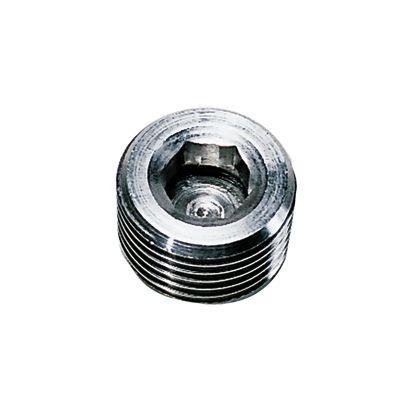 RVS PLUG M/HOLLE ZESKANT BUITENDR. BSP CON - C : R1/2 | 0285 21 00