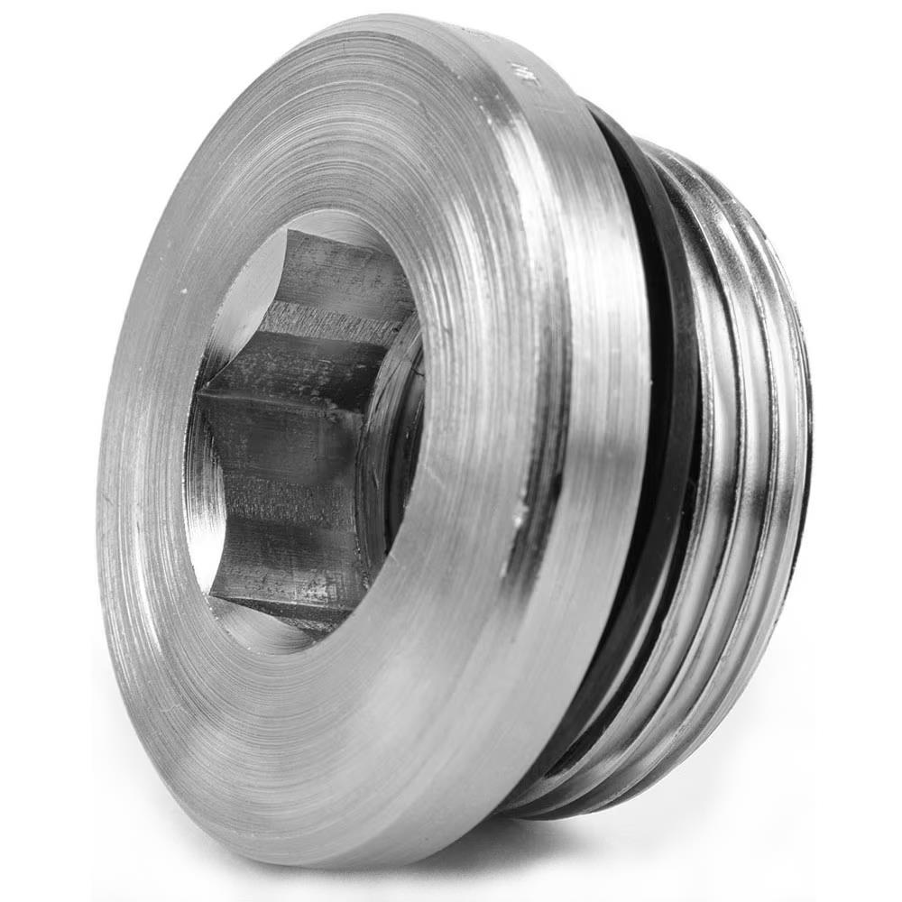 BLANKING PLUG FOR PORTS