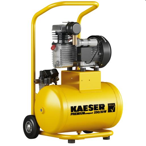 ZUIGERCOMPRESSOR PREMIUM COMPACT 250/30  230/1/50