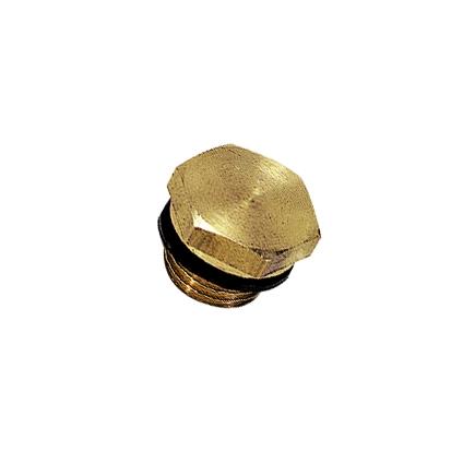 PLUG M/BUITENZESKANT BSP CYL/METR - C: G1/8 | 0220 10 00 39